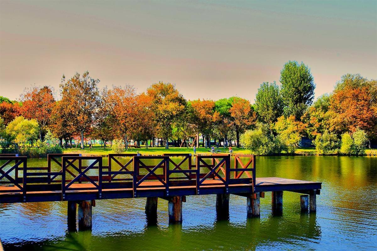 Hotel Adriatico Bellaria-Igea Marina Luaran gambar